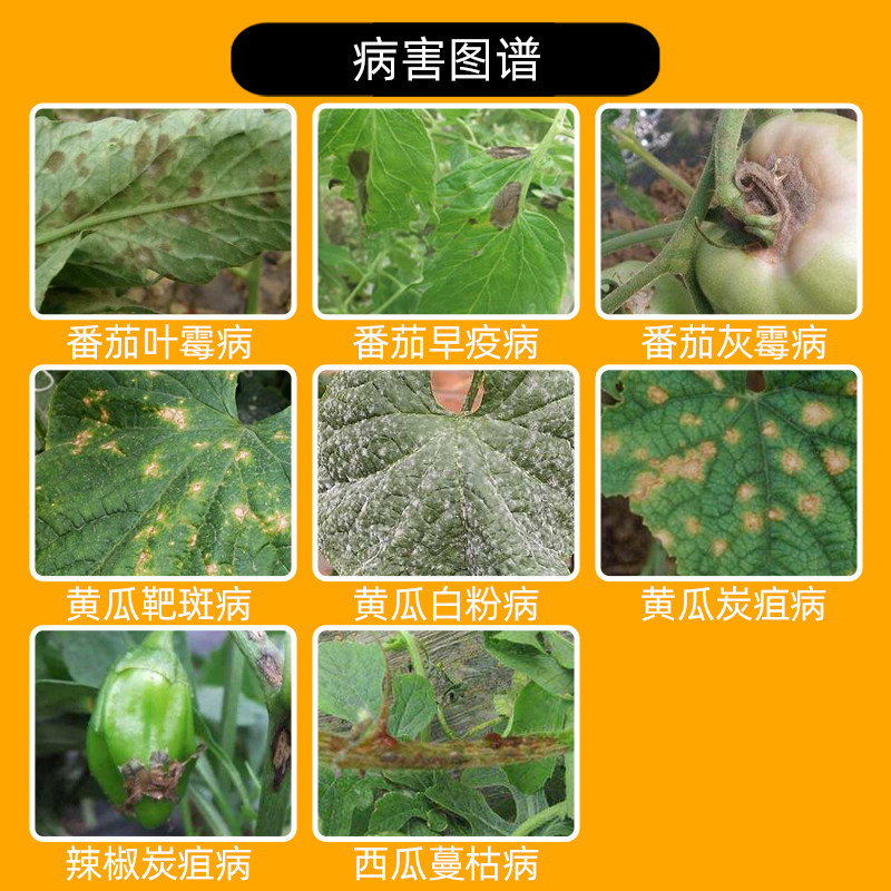 德国拜耳 露娜森 黄瓜靶斑病葡萄草莓月季白粉病专用农药杀菌剂 - 图0