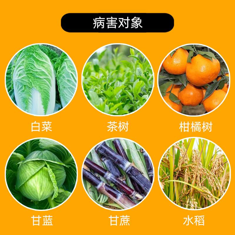 住友巴丹98%杀螟丹茶小绿叶蝉水稻二化螟小菜蛾青虫农药杀虫剂15g - 图1