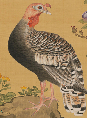 清余省牡丹双绶图国画工笔花鸟画高清微喷复制彩色临摹底稿装饰画