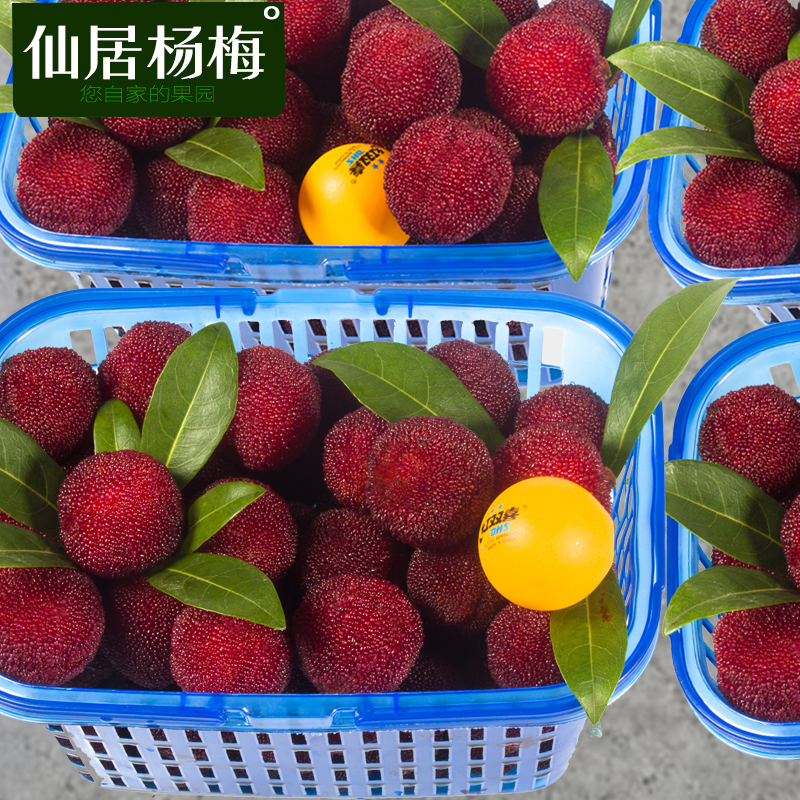 仙居杨梅一号店正宗仙居杨梅新鲜孕妇水果现摘现发高山东魁7斤装包邮整箱10斤甜2