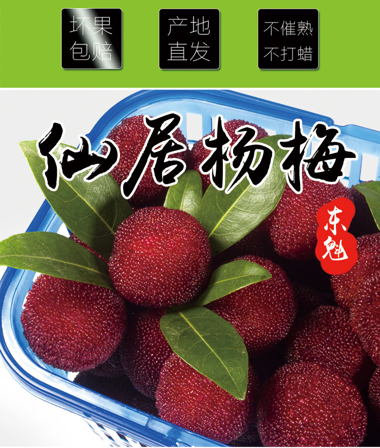 仙居杨梅一号店正宗仙居杨梅新鲜孕妇水果现摘现发高山东魁7斤装包邮整箱10斤甜1