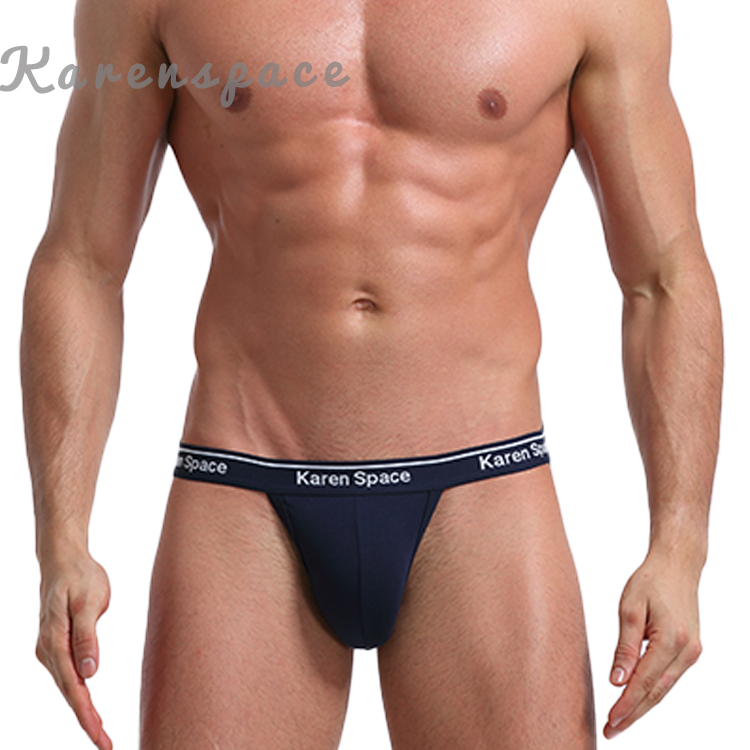 男士内裤丁字裤性感低腰同志单丁T裤跨境外贸大码丁字裤男生 - 图1