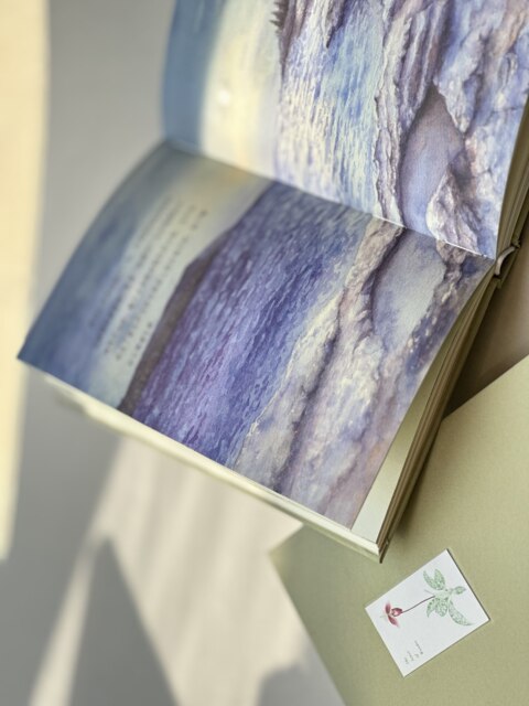 Genuine hardcover丨The heart of wonder (including hand-drawn illustrations) 