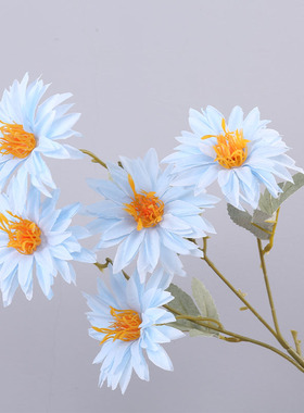 烟花婚礼堂白色小雏菊