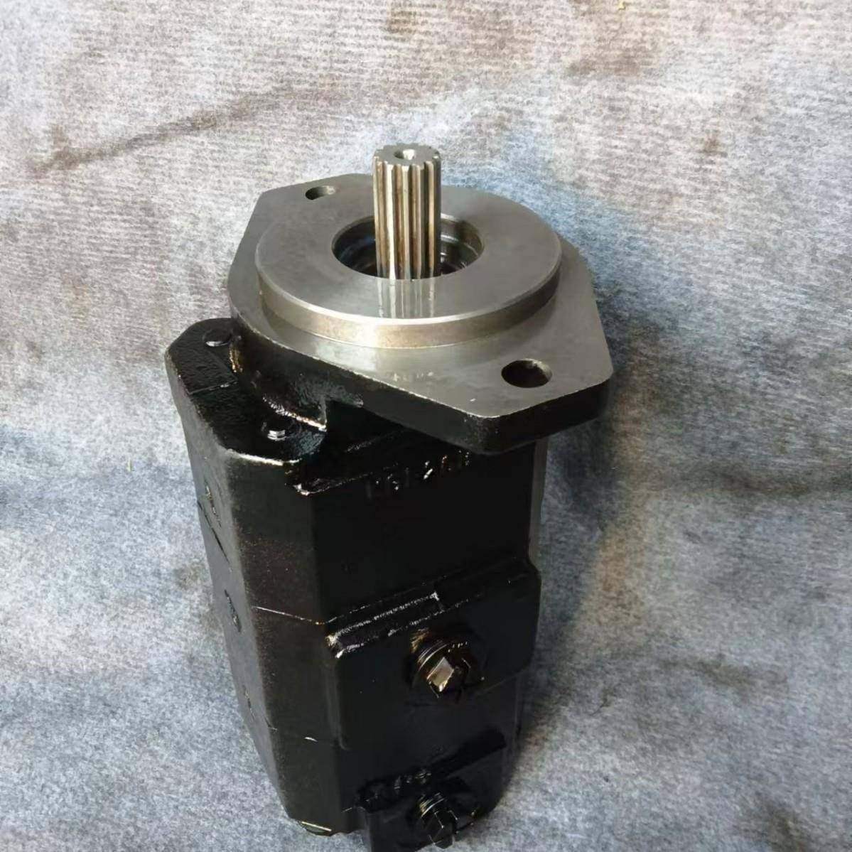 3129620173齿轮泵效率高结构简单安装方便 - 图1