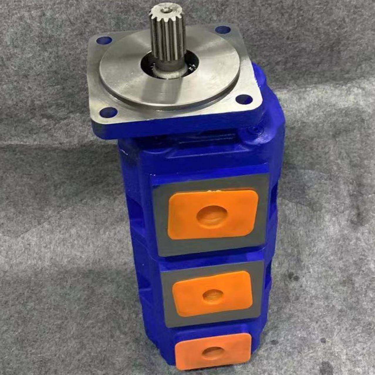 3129620173齿轮泵效率高结构简单安装方便 - 图2