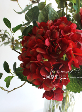 特价外贸千层芙蓉玫银叶菊仿真花