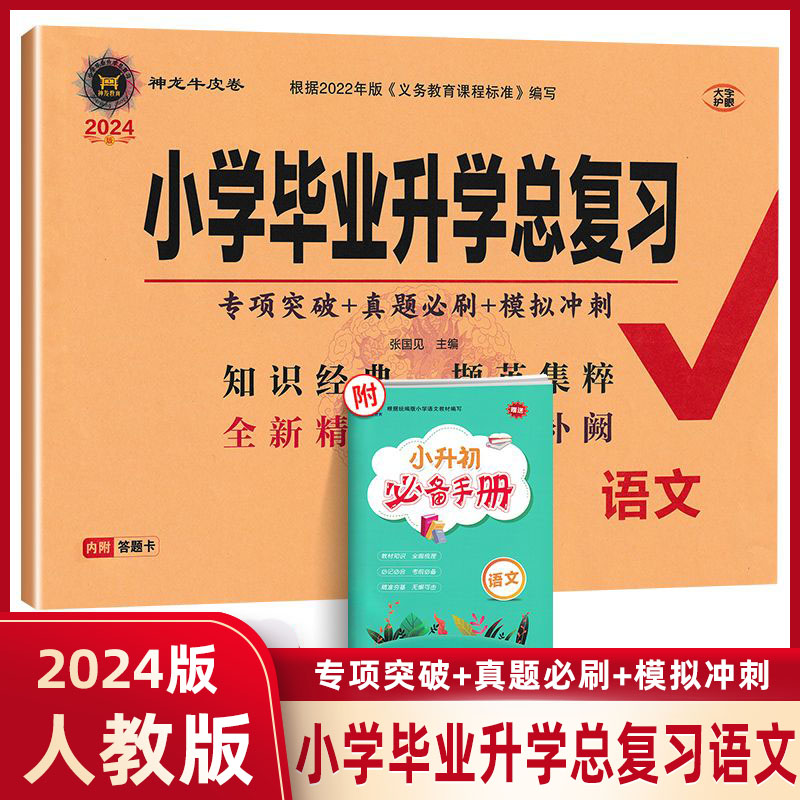 任选】2024版小学毕业升学总复习语文数学英语3本全套 归类复习题型专练模拟测试卷小升初试卷升学巩固招生分班必备56年级冲刺训练 - 图2