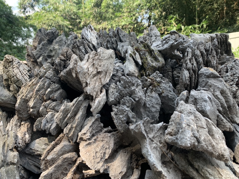 青龙石造景组合套餐酸洗装饰英德原石附石鱼缸水陆缸主峰盆景假山 - 图1