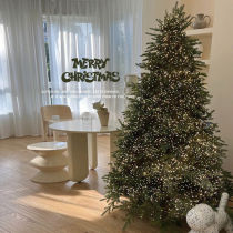 Christmas Tree Home Large Emulation Encryption With Light Christmas Decorations Pendulum 2022 New Luminous Advanced Sensation