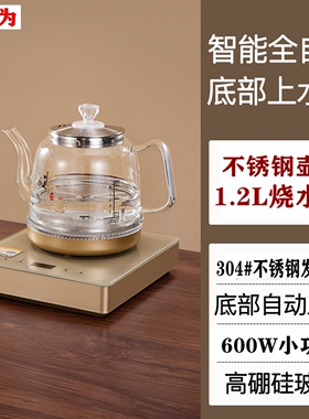 底部上水全自动烧水壶玻璃泡茶车载户外办公室小功率600W电热水壶