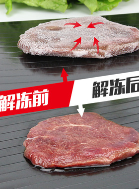 跨境亚马逊牛排解冻板创意厨房用品铝制快速除霜托盘带水盒厂家
