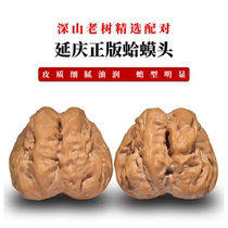 Yanqing Generation old tree clams head to play walnut lion head boutique collection grade large open back Pippa with legs with eye