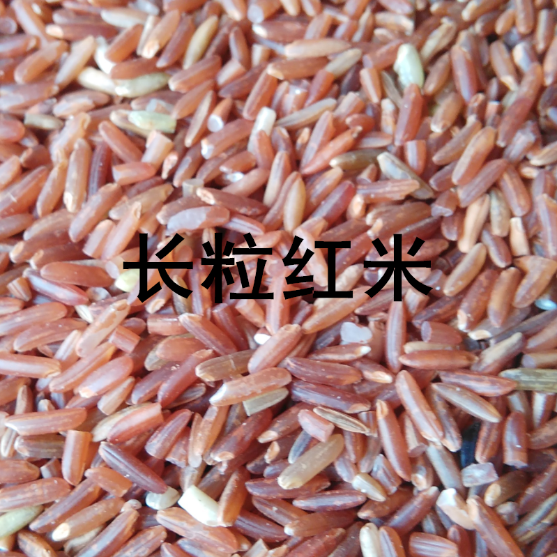 High-quality long-grain red rice, red brown rice, whole grains, red rice, japonica rice, red fragrant rice, red blood rice, brown rice, red brown rice