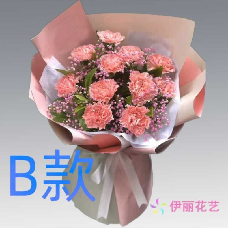 生日探望康乃馨吉林白城花店送花通榆县洮南市大安市同城鲜花快递-图0