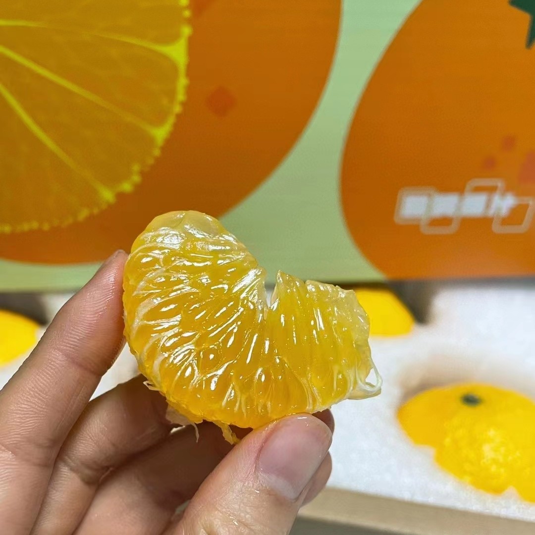 红美人甜桔柚5斤礼盒年货送礼新鲜纯甜橘子福建黄金当季甜心柚,淘宝优惠券,粉丝福利购,淘宝优惠卷