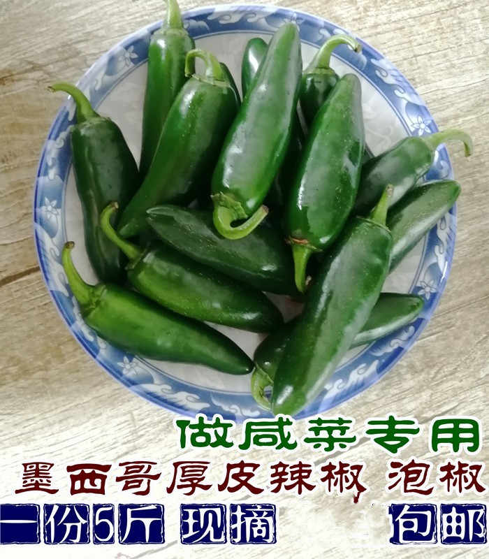 唐辛子辣椒 新人首单立减十元 21年9月 淘宝海外