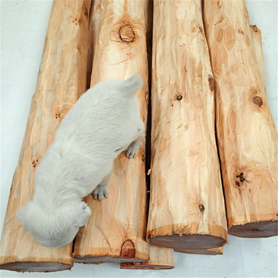 崖柏料侧柏木料香柏毛料全心材料颈椎保健枕原料辟邪风水法事柏木 虎窝淘