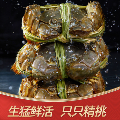 大闸蟹提货卡8只装礼盒