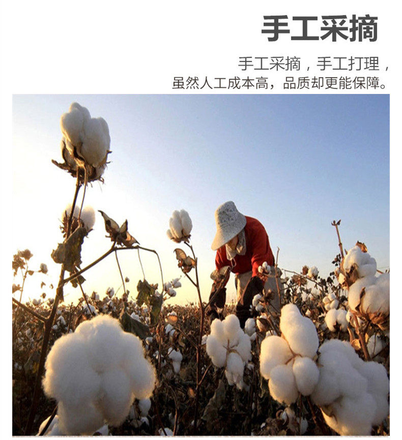 新疆特级100%纯天然棉被长绒棉花精梳棉花卷宝宝棉衣裤玩具填充物,淘宝优惠券,粉丝福利购,淘宝优惠卷