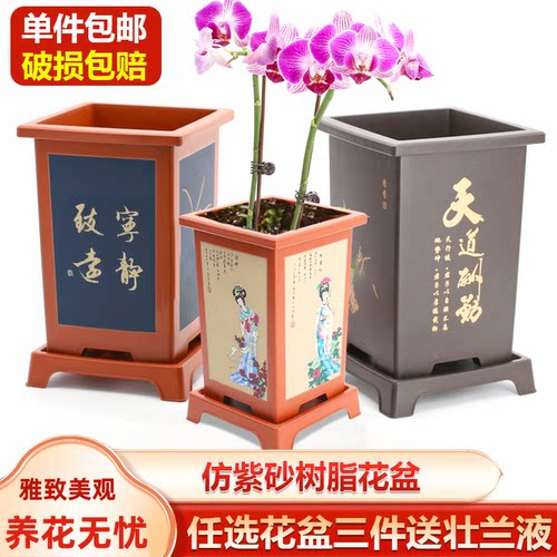 兰花盆君子兰专用盆仿紫砂塑料树脂兰花专用盆花盆家用盆景花盆 - 图0