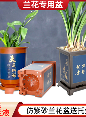 兰花盆君子兰专用盆彷紫砂塑料树脂兰花专用盆花盆家用盆景花盆