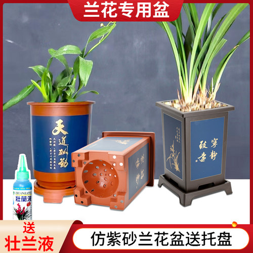 兰花盆君子兰专用盆仿紫砂塑料树脂兰花专用盆花盆家用盆景花盆 - 图1