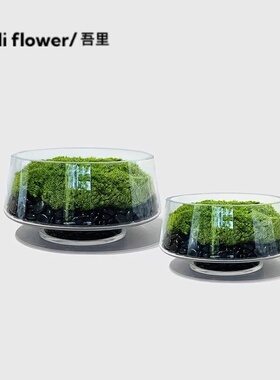 复古果盘木碗苔藓微景观造景
