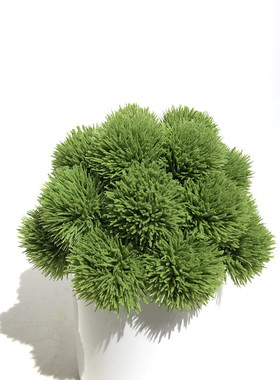 简约现代绿色小盆栽植物摆件台面
