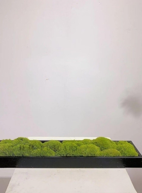仿铜锤击压花金属装饰盒永生苔藓