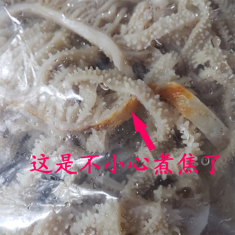 四川火锅食材 新鲜千层肚 牛百叶毛肚 500g  未漂白 食用 - 图0