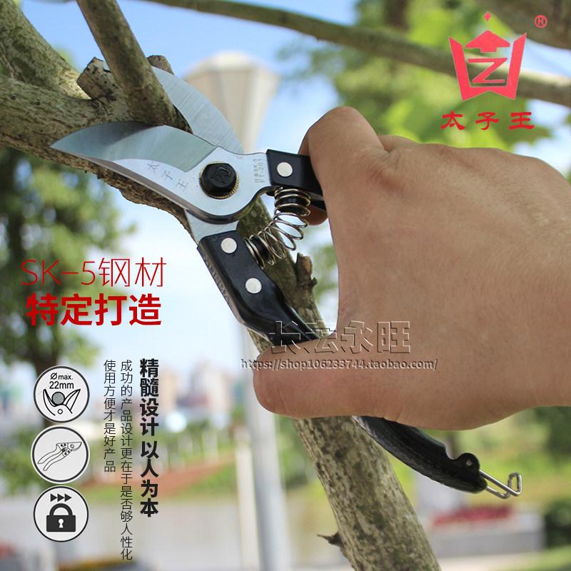 修枝剪太子王树枝剪枝剪不锈钢园林工具园艺剪刀葡萄剪刀修整木剪,淘宝优惠券,粉丝福利购,淘宝优惠卷