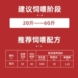 Гонка составляет 40%концентрированного материала для поросят и поросят.