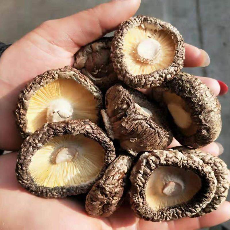 新货香菇干货500g散装一斤包邮商用新鲜西峡非特级干香菇冬菇蘑菇,淘宝优惠券,粉丝福利购,淘宝优惠卷