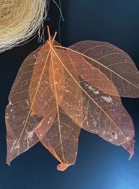 蝉翼叶创意盘饰厨师酒店用品超厨果酱画盐雕模具意境点缀厨用装饰