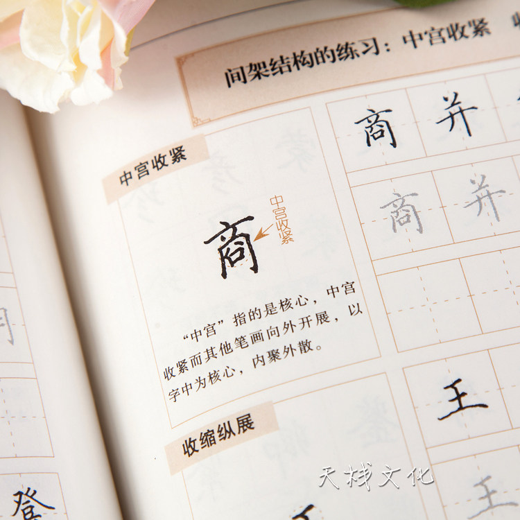 跟田英章书学楷书正楷钢笔字帖成人书法速成练字帖硬笔书法字帖_虎窝淘