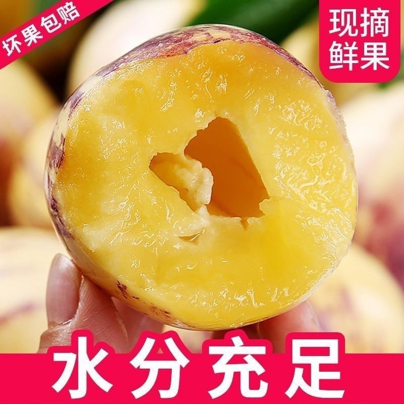 【头茬包邮】甘肃当季水果人参果新鲜水果低糖黄皮黄肉现摘现发,淘宝优惠券,粉丝福利购,淘宝优惠卷