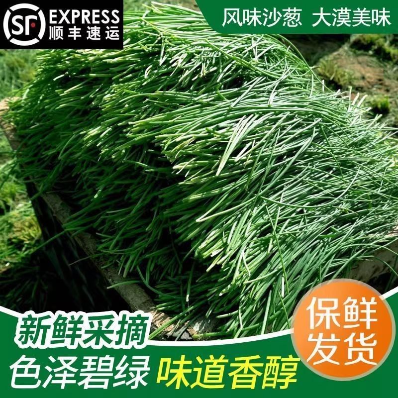 【顺丰包邮】甘肃新鲜沙葱野菜沙葱直供店批发,淘宝优惠券,粉丝福利购,淘宝优惠卷