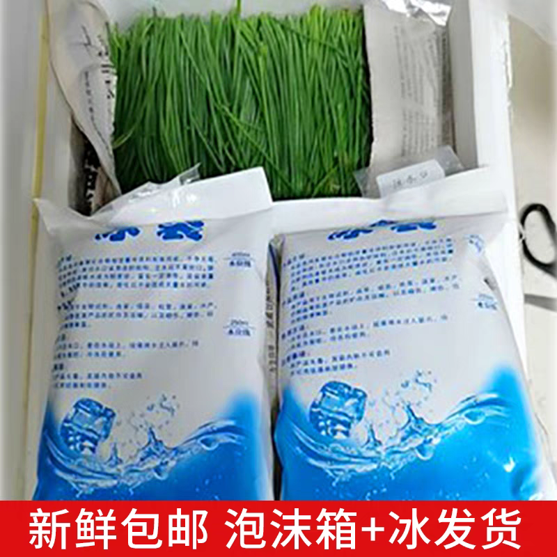 【顺丰包邮】甘肃新鲜沙葱野菜沙葱直供店批发,淘宝优惠券,粉丝福利购,淘宝优惠卷