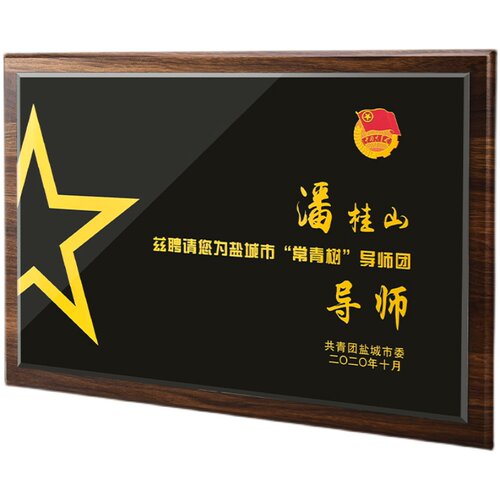 618直播特惠定制黑胡桃水晶面奖牌企业UV砂金荣誉直达6折 - 图3