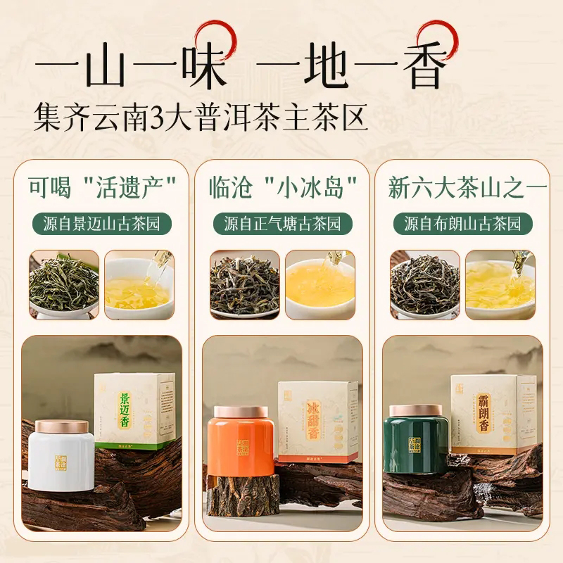 【新品】澜沧古茶2024年景迈&冰甜&霸朗香生普洱自饮好茶叶60g/罐 - 图0