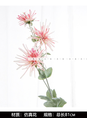 粉色系少女女孩房飘窗饰品摆件