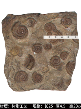 样板间儿童房恐龙主题软装摆件