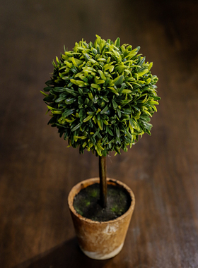室内客厅餐桌圆球盆栽仿真植物