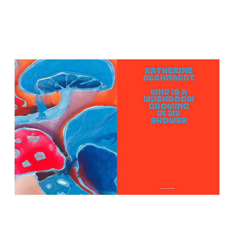 【现货】凯瑟琳·伯恩哈特:为什么我的浴室里长出蘑菇? Katherine Bernhardt: Why Is A Mushroom Growing In My Shower? 英文博
