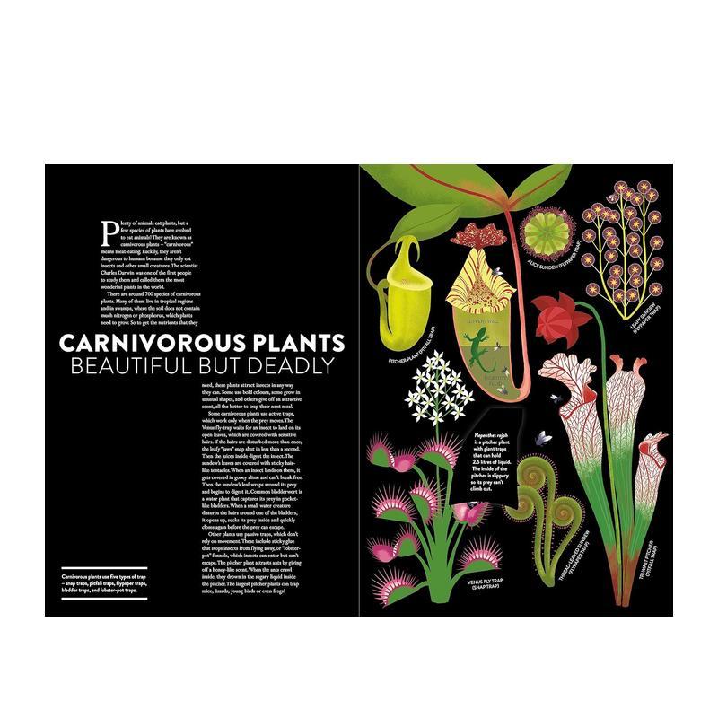 【现货】植物世界Plant Life英文儿童绘本动物生态环保3-6岁精装Helene Druvert Juliette Einhorn进口原版书Thames & Hudson书籍 - 图3