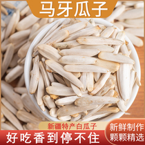 Xinjiang specialite matte melon seed original flavor Aksu toothpick white melon seeds 500g salt white pirion crescent moon tooth sunflower seed