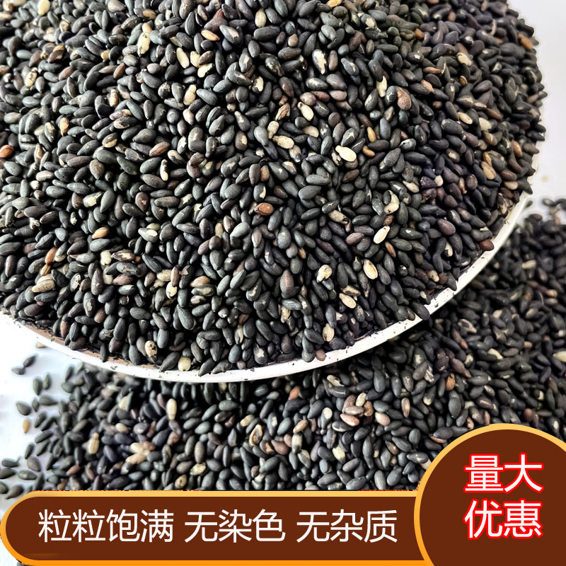 熟黑芝麻500g新货现炒饱满无染色无杂质整粒月饼馅料烘焙原料商用 - 图2