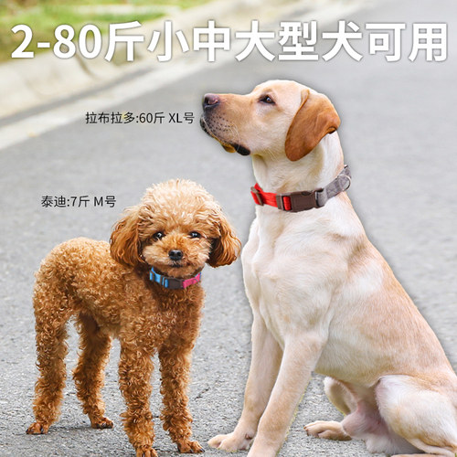 狗狗项圈宠物用品狗圈颈圈脖圈小型犬中型犬泰迪柯基柴犬金毛头套 - 图0
