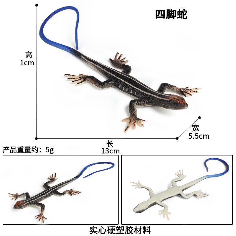 仿真野生爬行动物模型四脚蛇蜥蜴石龙子儿童整蛊玩具实心塑胶摆件-图1